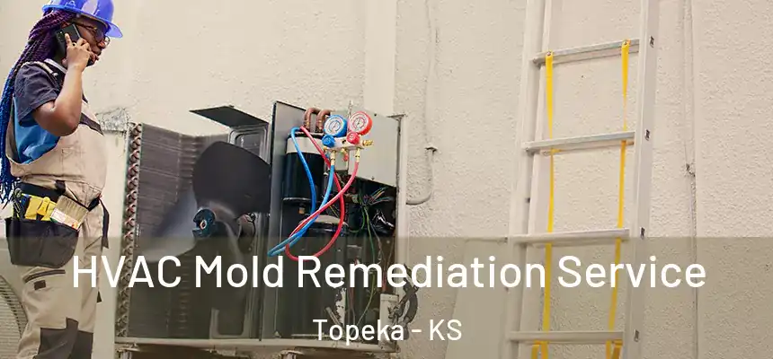  HVAC Mold Remediation Service Topeka - KS