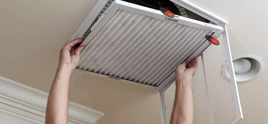 Preventive Cockroach-Proofing for Ducts in Topeka