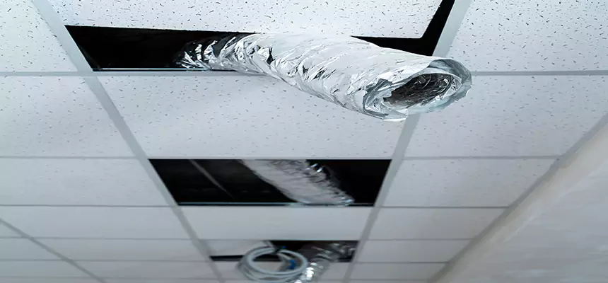 Affordable HVAC Sanitizing After Pest Removal in Topeka