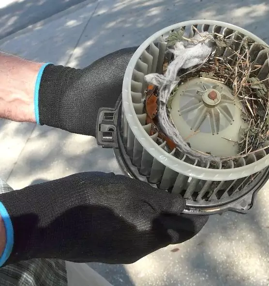 About Air Duct Mice Removal in Topeka, KS