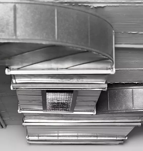 Professional Air Duct Pest Removal in Topeka, KS