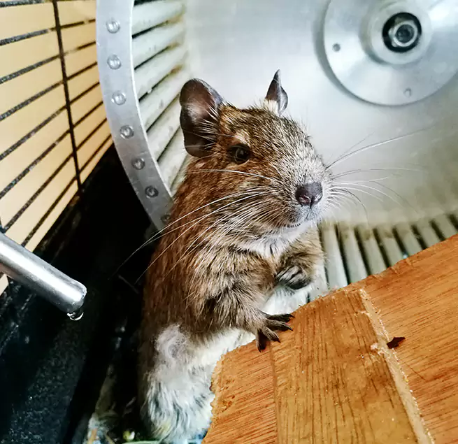 Why Homeowners & Businesses Trust Us Topeka, KS